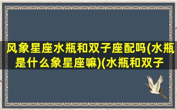 风象星座水瓶和双子座配吗(水瓶是什么象星座嘛)(水瓶和双子 风向)